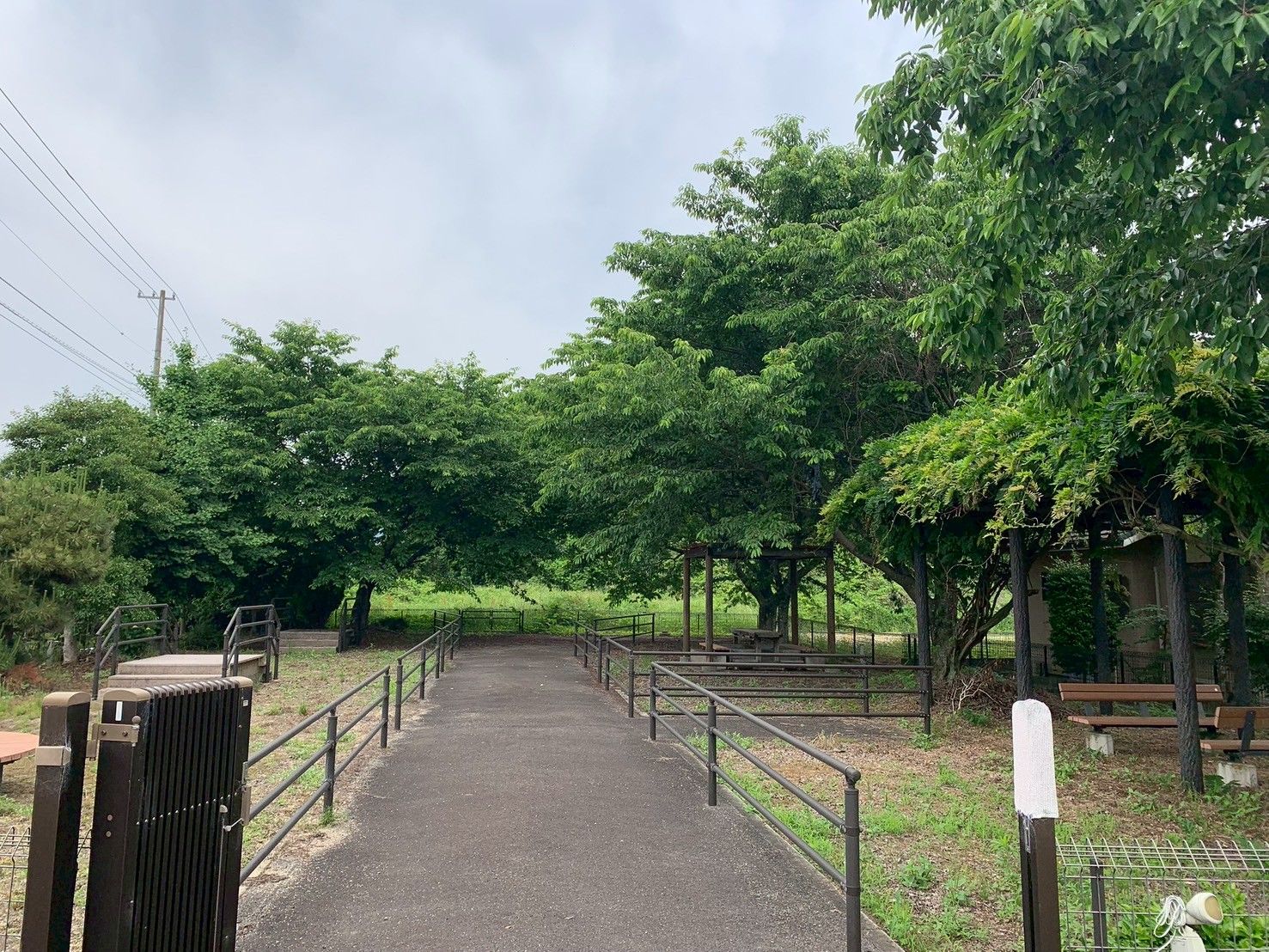 緑豊かな散策路