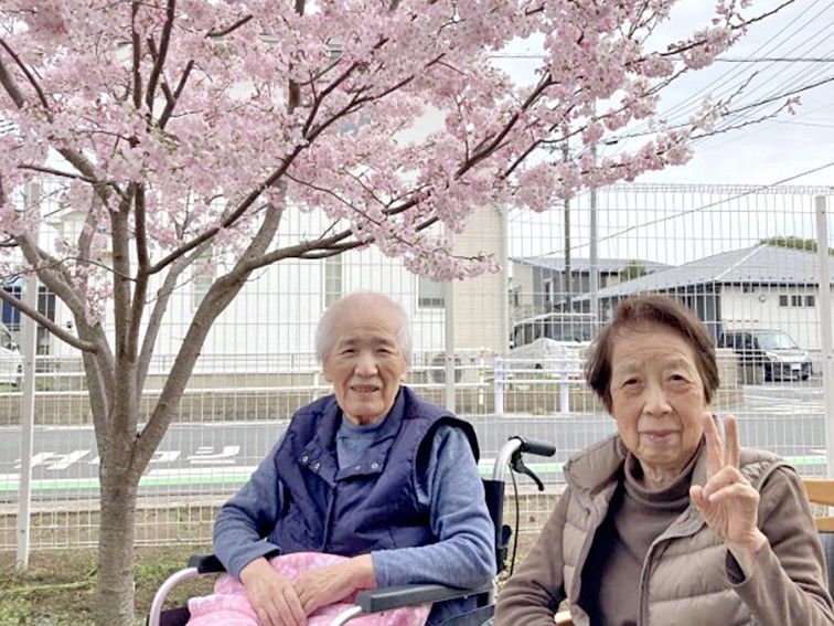 桜の下で微笑む二人