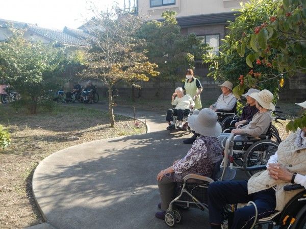 日差しを浴びる庭