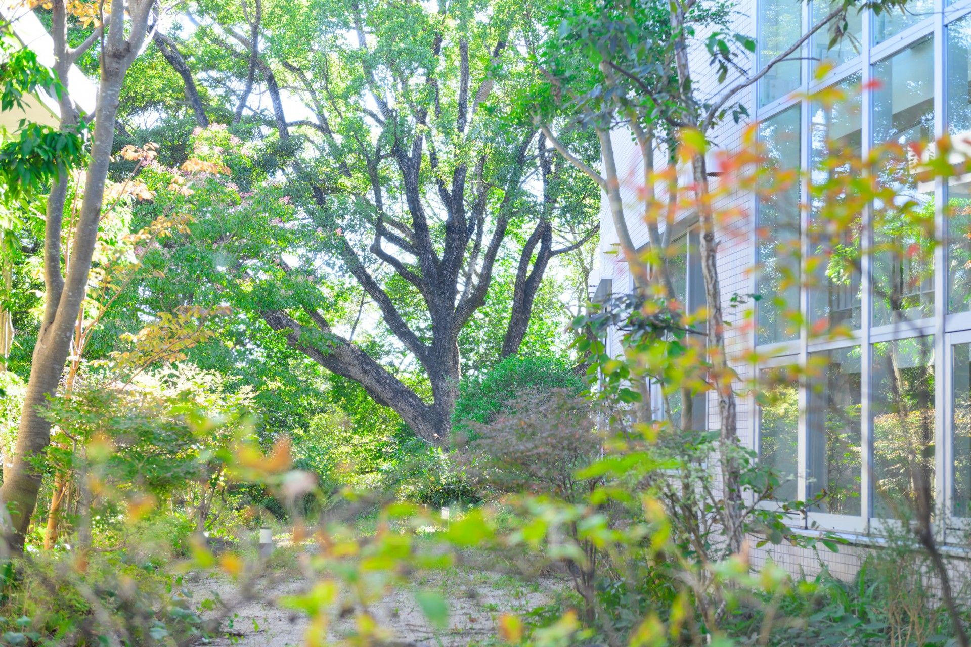 緑豊かな施設