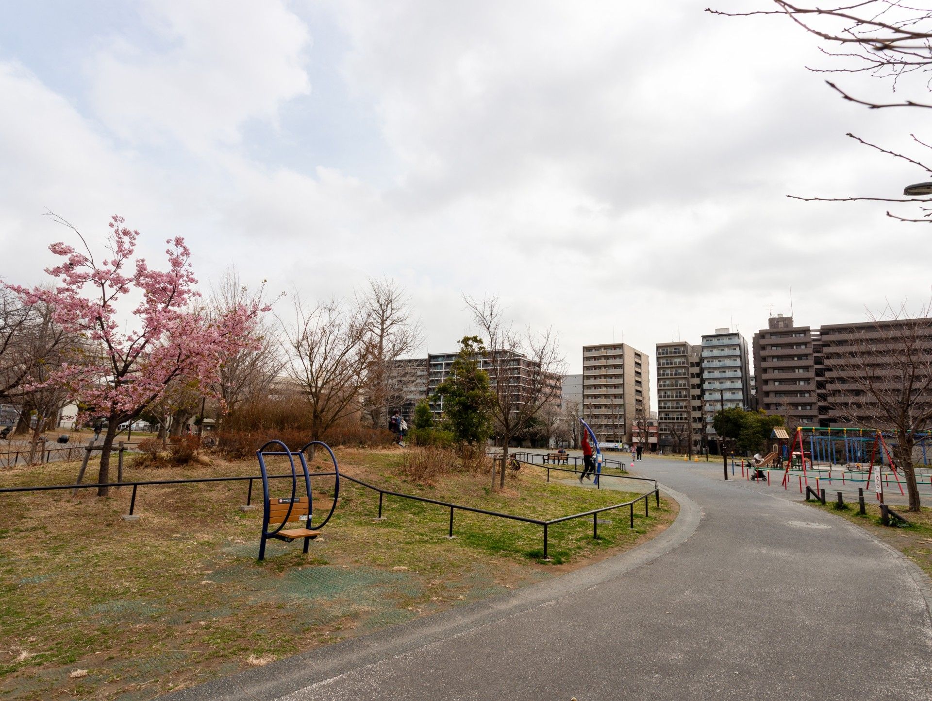 桜の咲く遊歩道