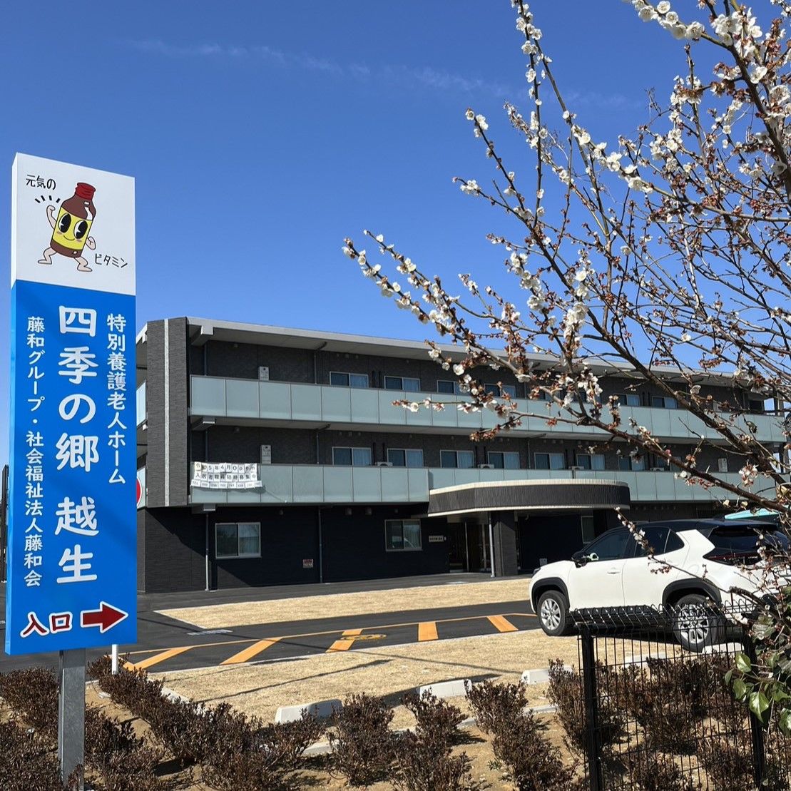 桜と施設の外観