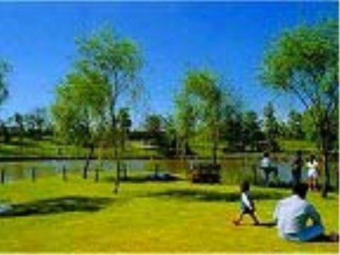 みんなの家・草加青柳（介護付有料老人ホーム）の周辺環境。大きな公園が近くにございます。日々沢山の方々で賑わう、明るい公園です。