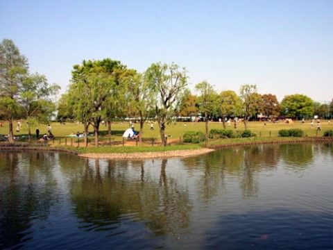 みんなの家・草加青柳（介護付有料老人ホーム）の周辺環境。水遊びが出来る大きな公園です。ご家族とお立ち寄りいいただけます。