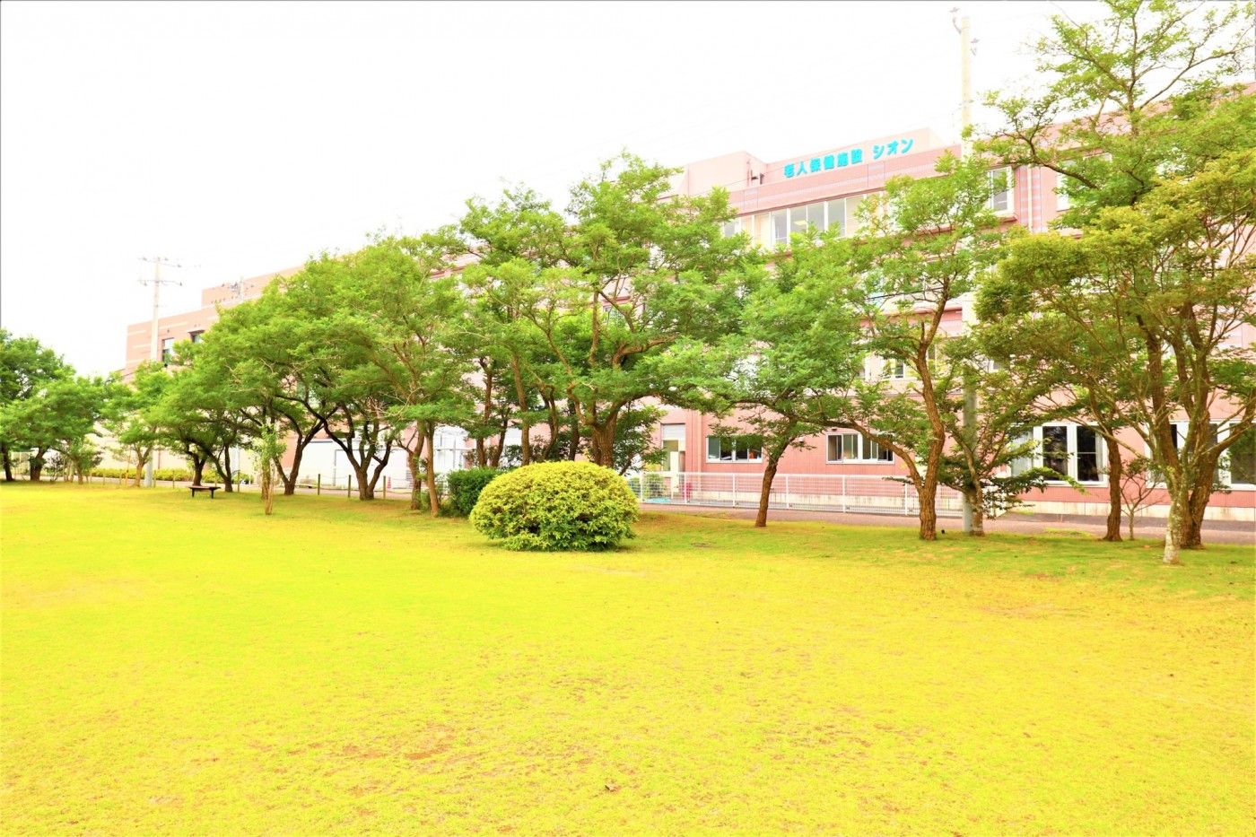 緑豊かな庭園の施設