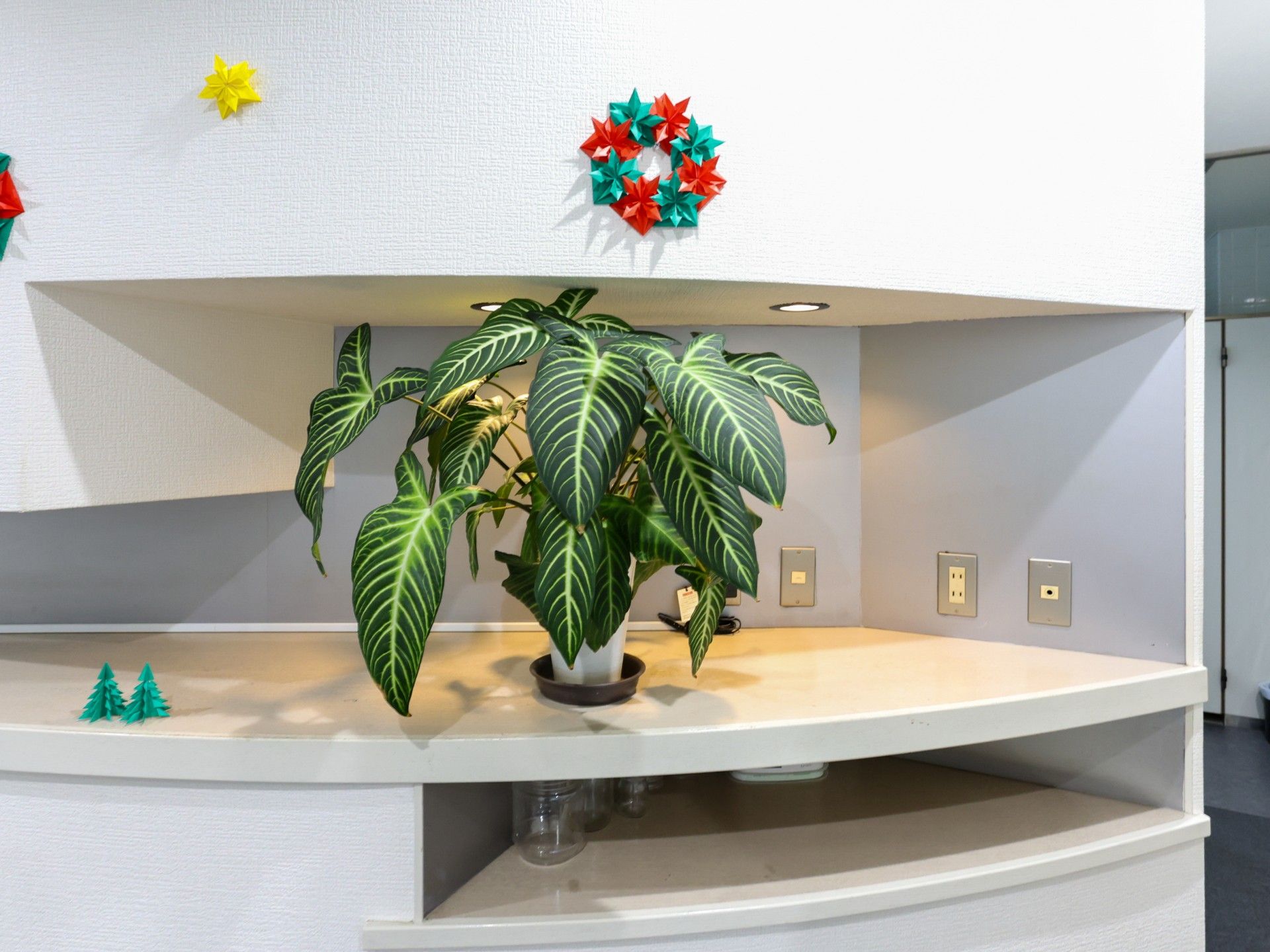 観葉植物と折り紙の飾り