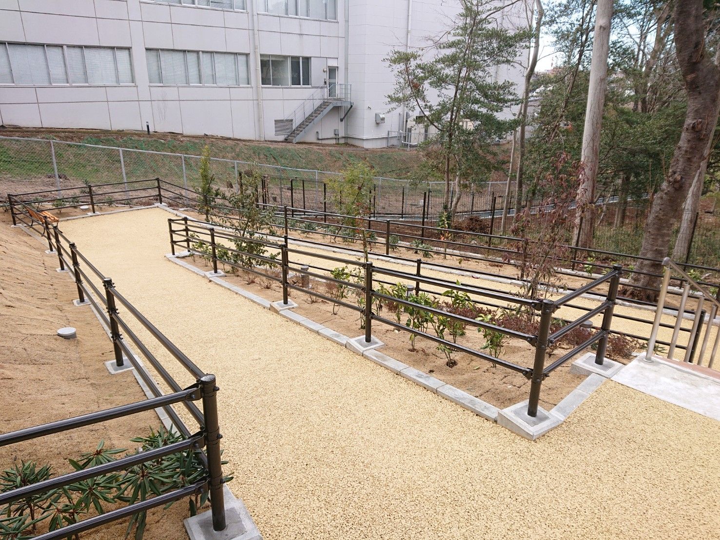 自然に囲まれた豊かな外観