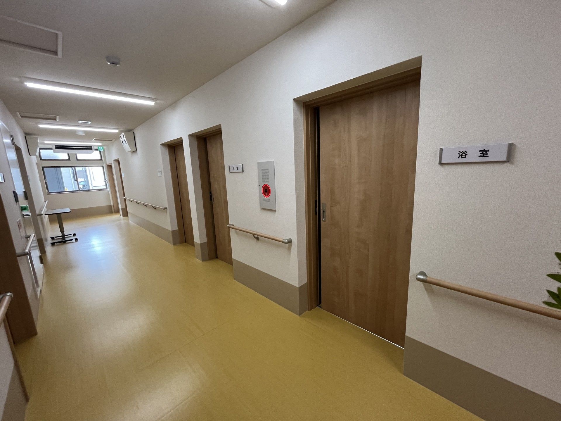 明るく清潔な廊下