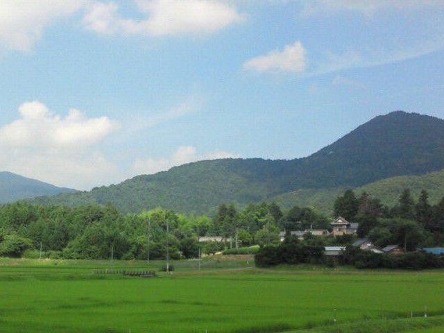 緑豊かな田園風景