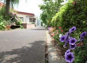 緑豊かな入り口通路