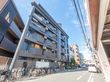 Halelea kitakagayaの写真