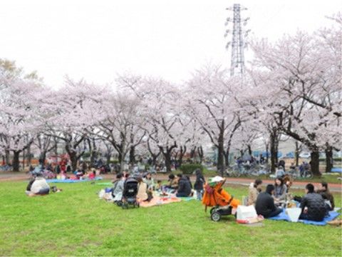 「みんなの家・鳩ヶ谷（介護付有料老人ホーム）」三ツ和公園です。お散歩にも調度良い環境です。