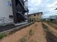屋外の緑豊かな散策路