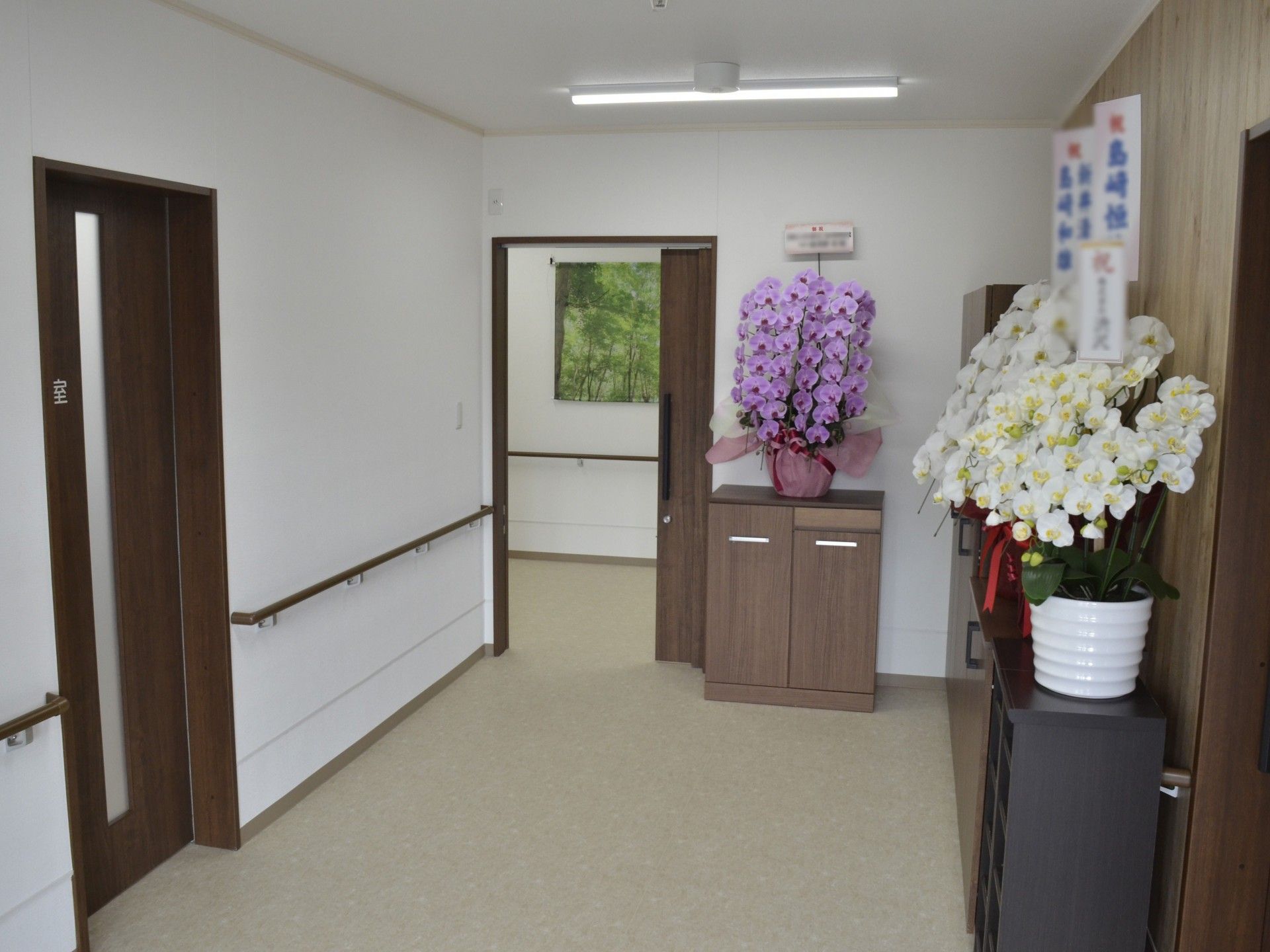 明るい廊下と花の装飾