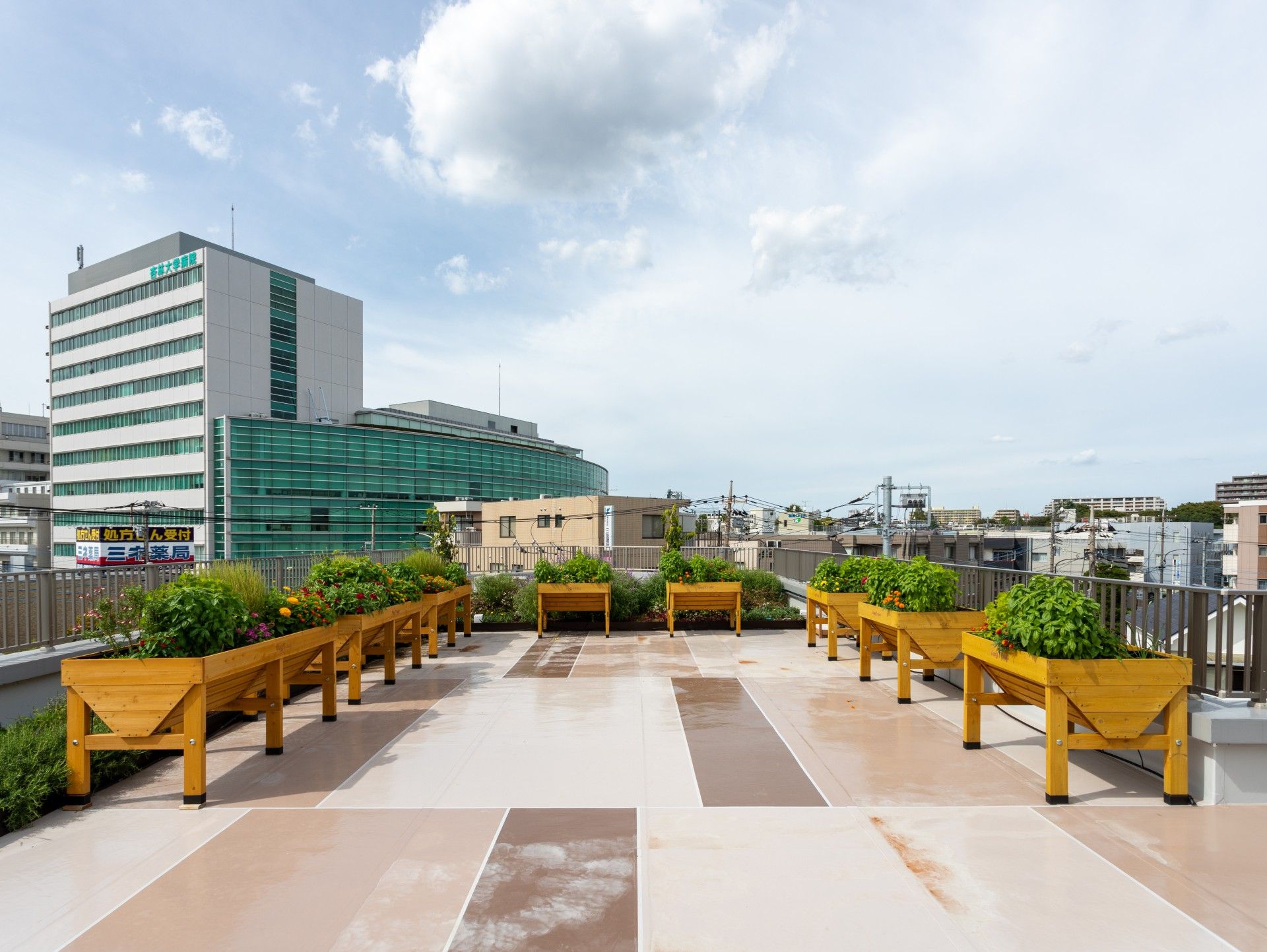 緑豊かな屋上庭園