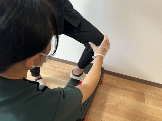 段差昇降のリハビリ訓練