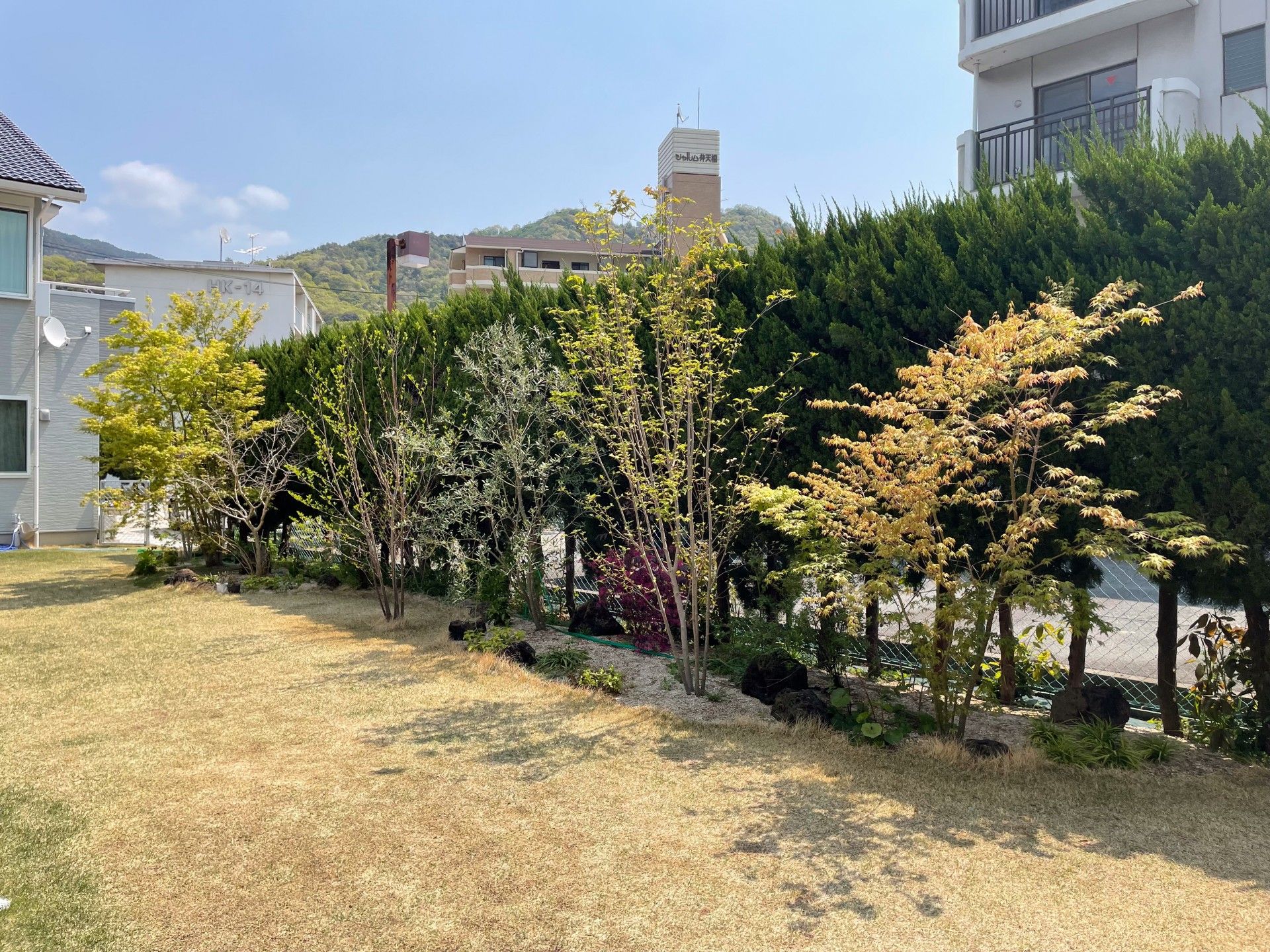 緑豊かな庭園