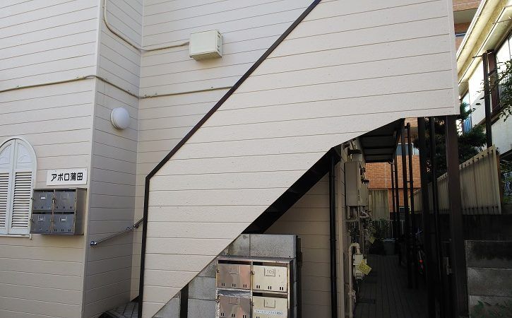 心地よい光が差し込む廊下