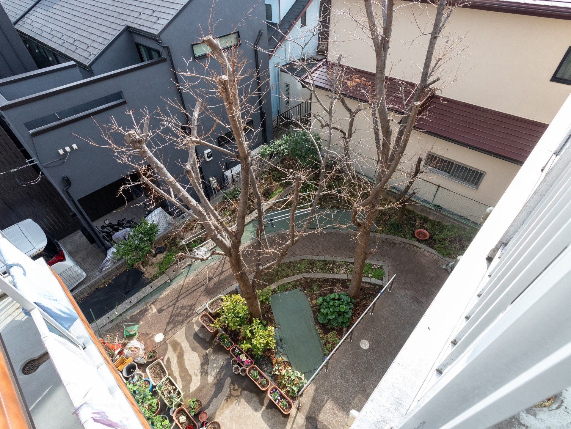 庭の風景