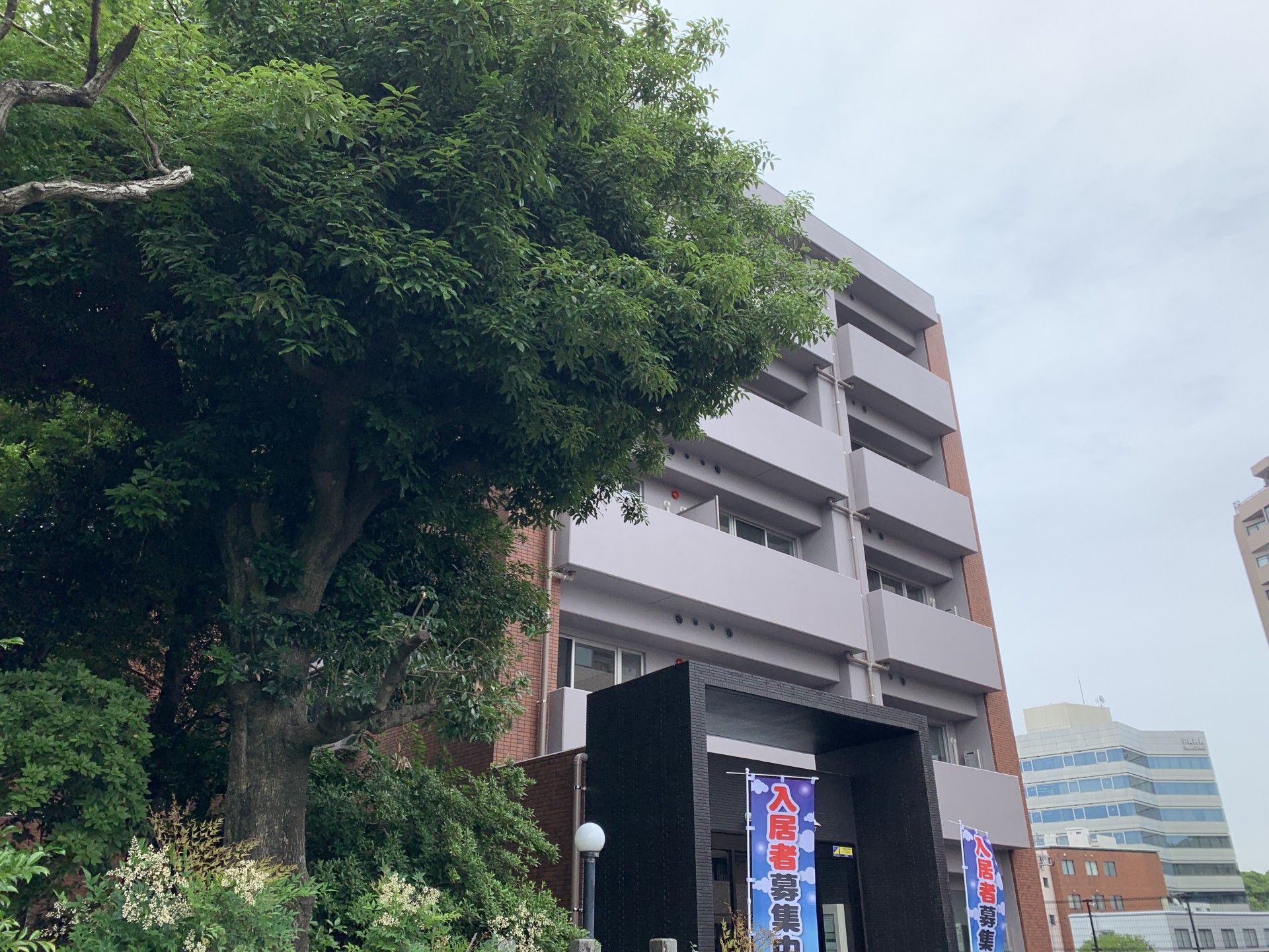緑に囲まれた建物の外観