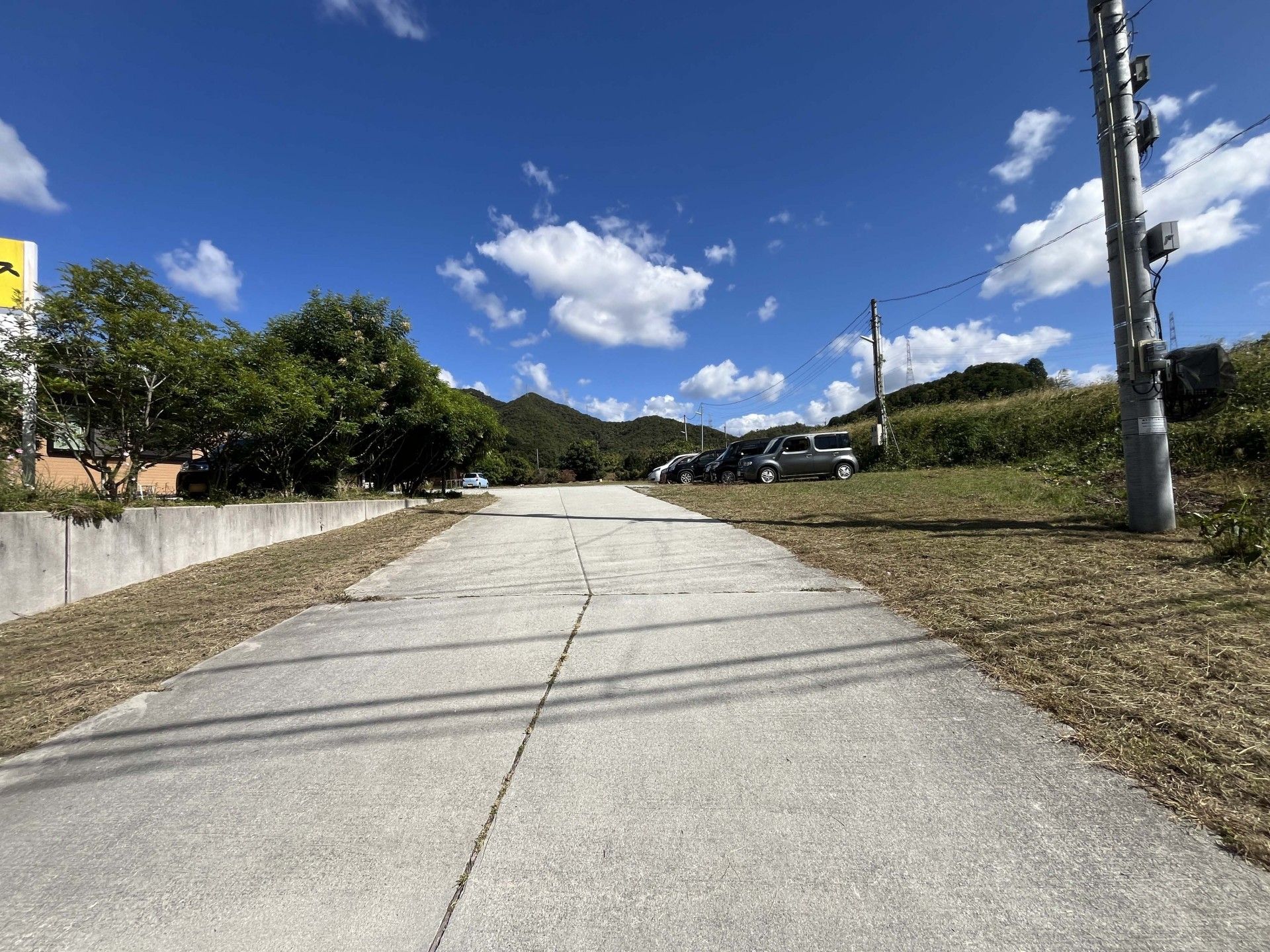 青空と緑の散歩道