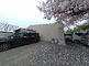 桜並木のある門前風景
