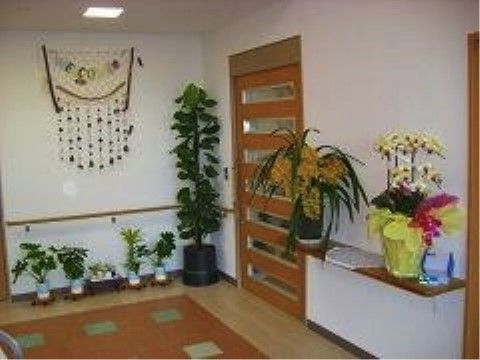 エントランスは、観葉植物や蘭の鉢植えなどが置かれ、緑が豊かである。白い壁には飾りが取り付けられている。
