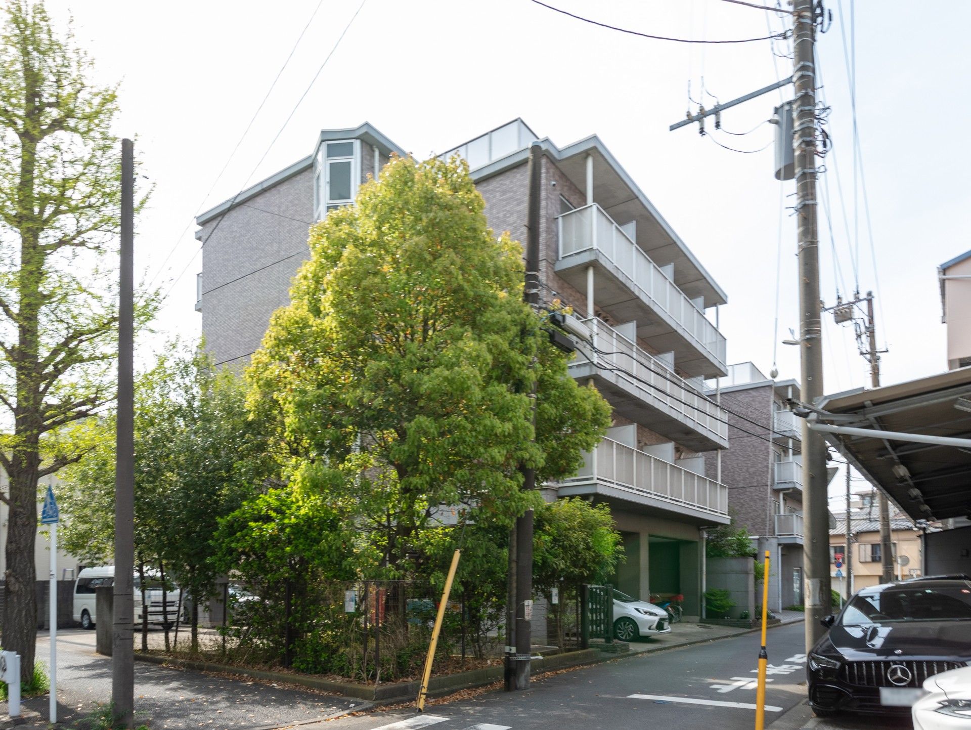 緑に囲まれた建物の外観