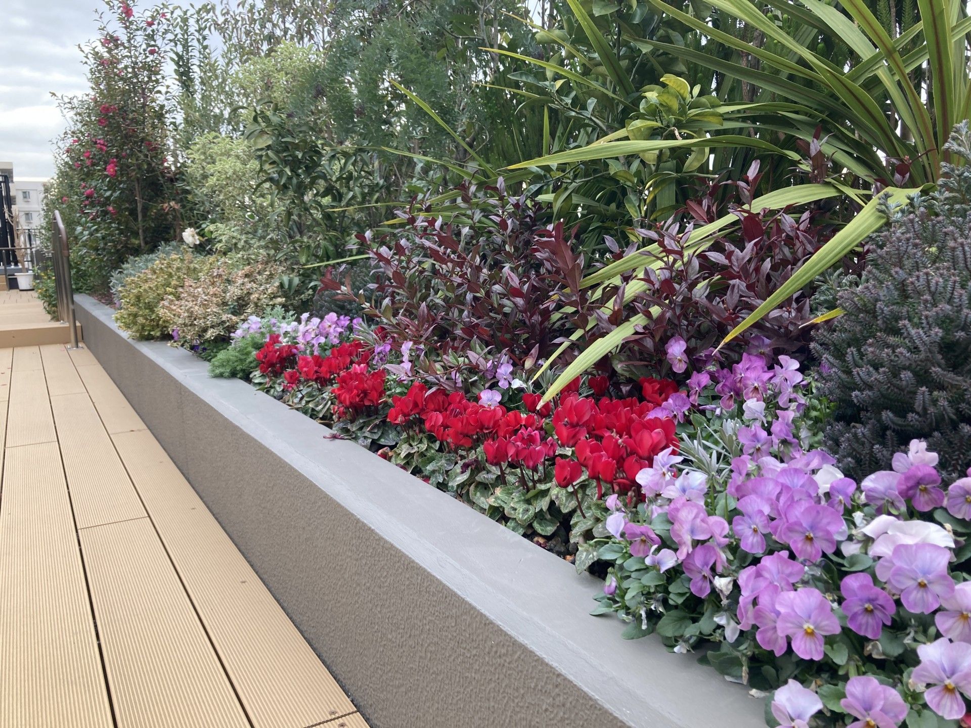 色とりどりの花壇
