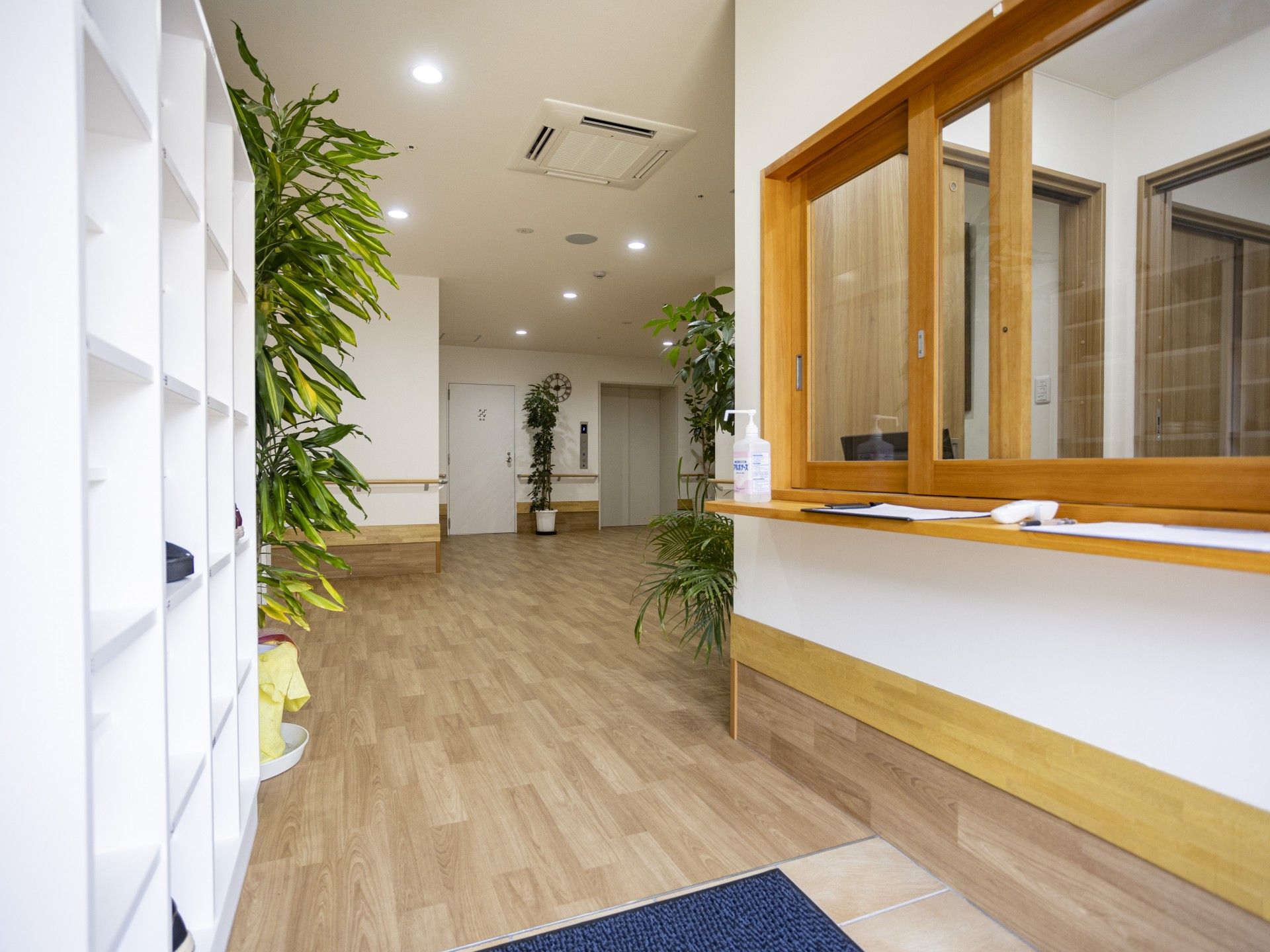 明るい廊下と受付スペース