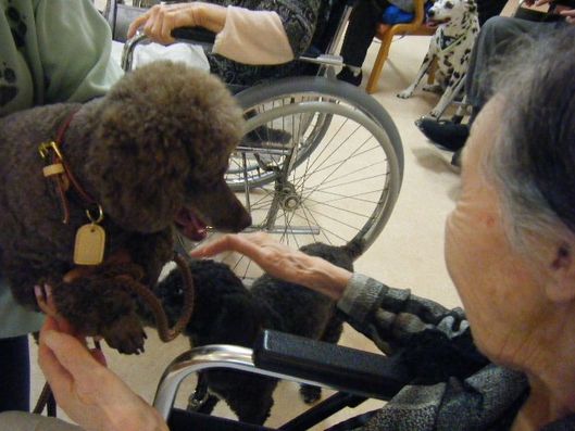 スタッフイメージ