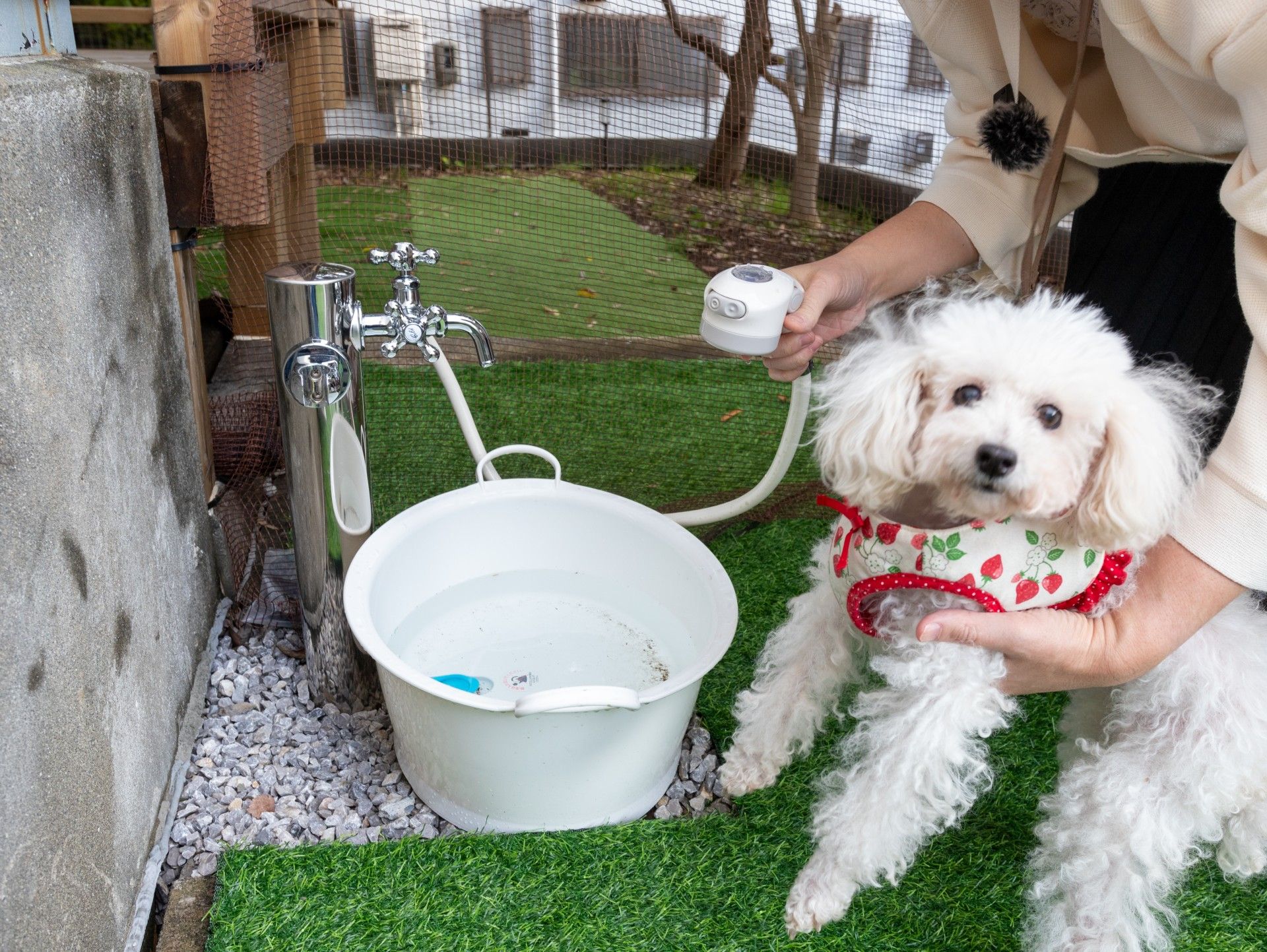 愛犬と過ごす時間