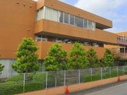 緑に囲まれた建物外観