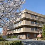 桜並木のある建物外観