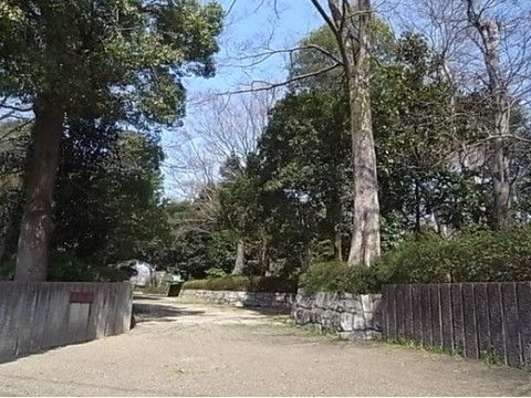 施設近くにある多くの緑に囲まれた公園。遊歩道が舗装されており、足腰の弱い方や車椅子をご利用の方でも安心して移動できる。