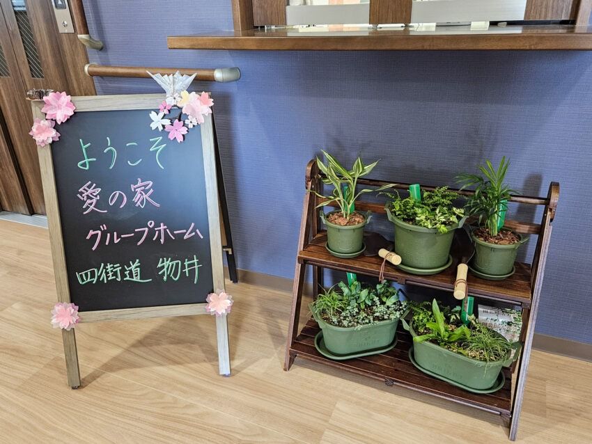 ウェルカムボードと植物棚