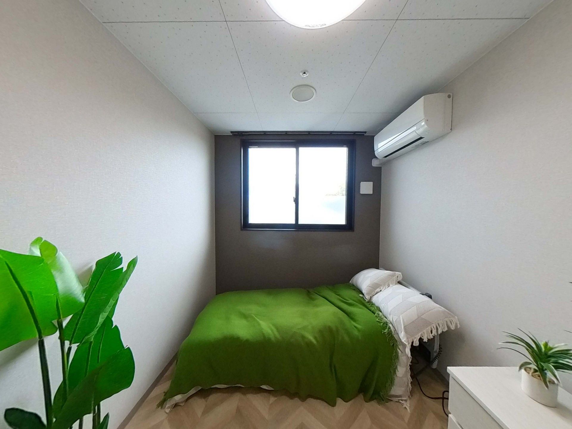 緑の布団がある部屋