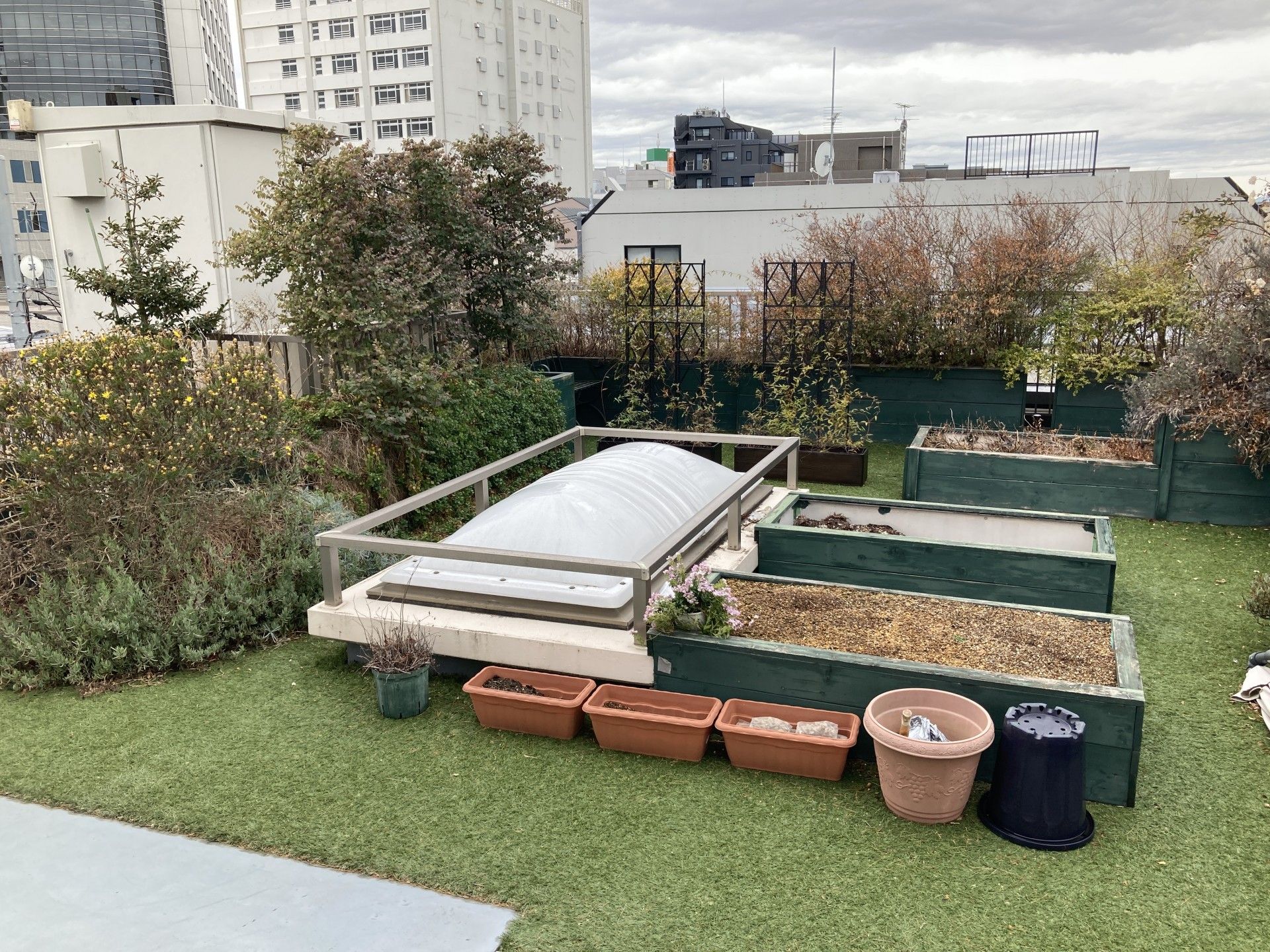 屋上庭園の風景