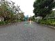 緑豊かな公園風景