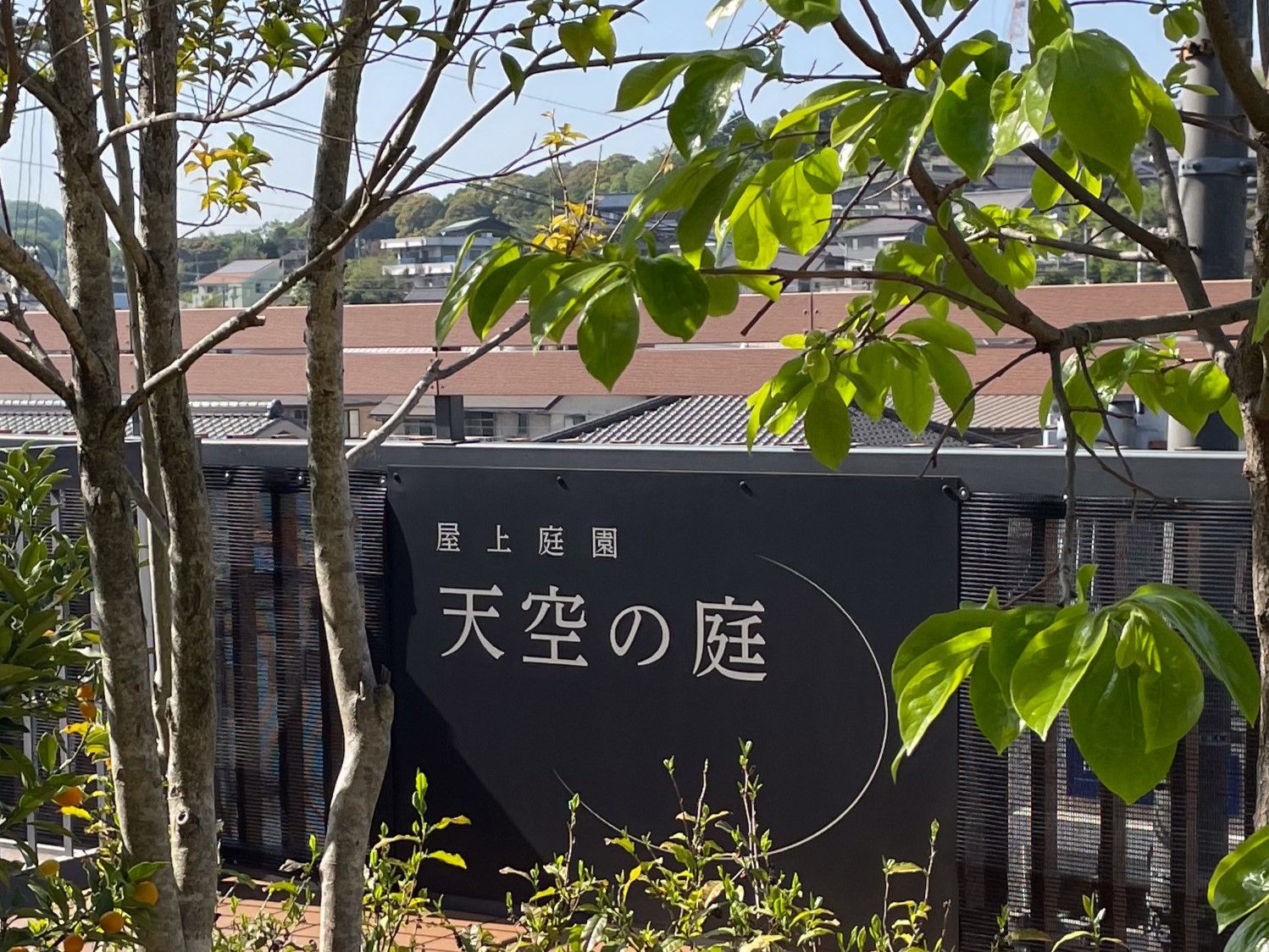 緑に囲まれた看板