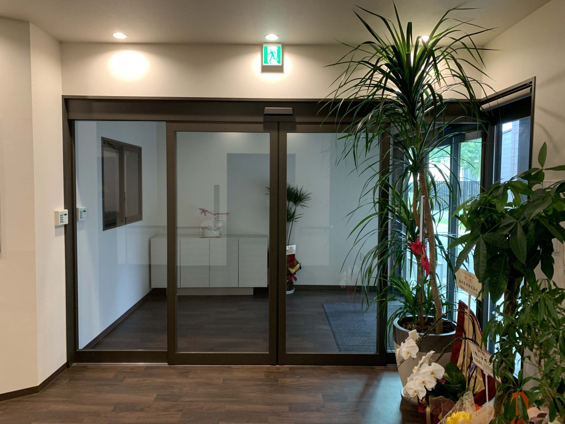 観葉植物が並ぶエントランス