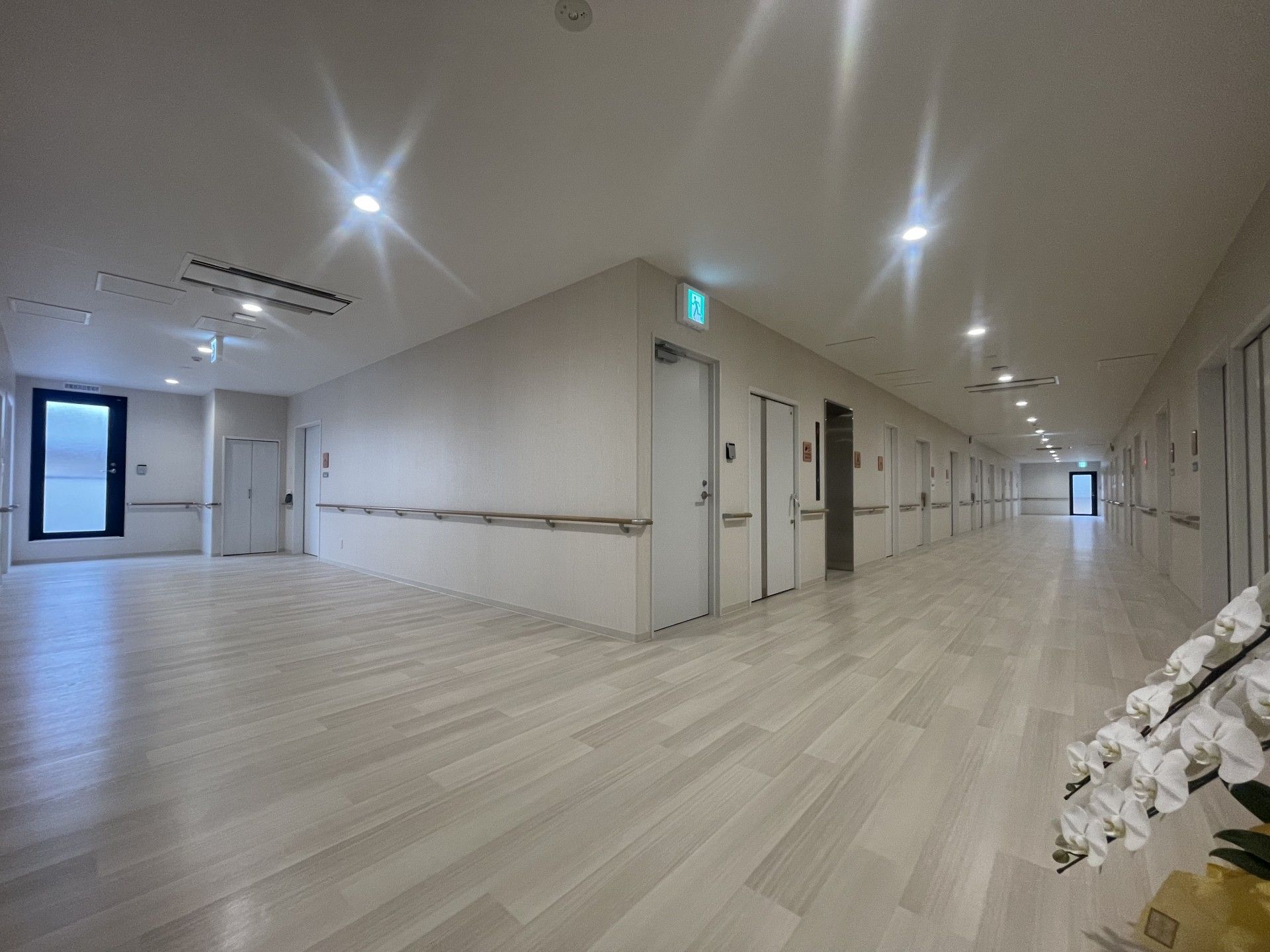 長い廊下と扉のある空間