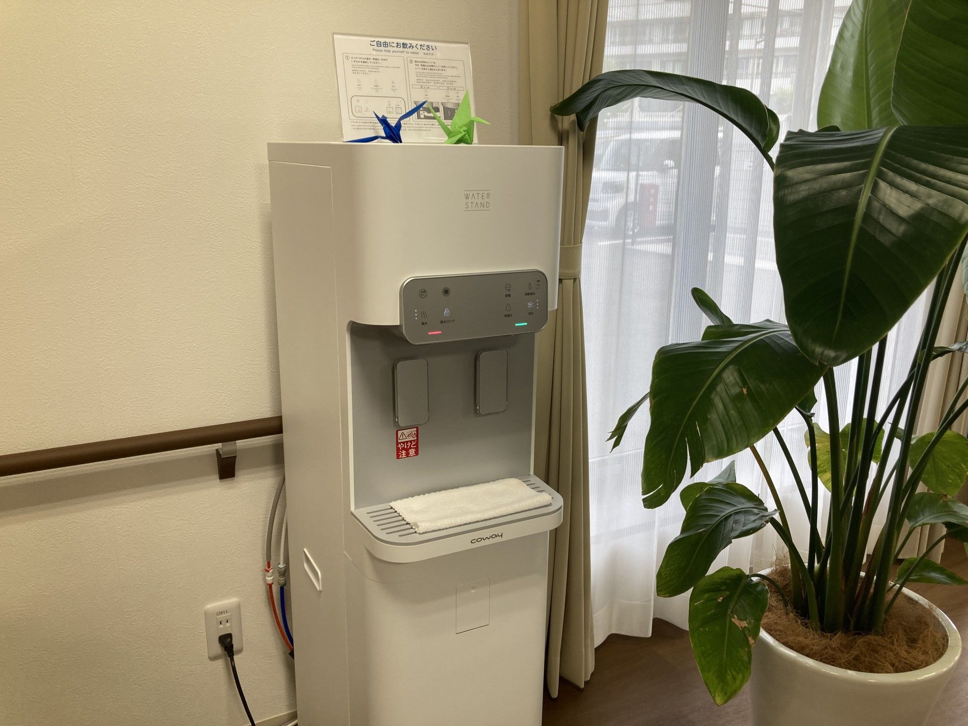 ウォーターサーバーと観葉植物