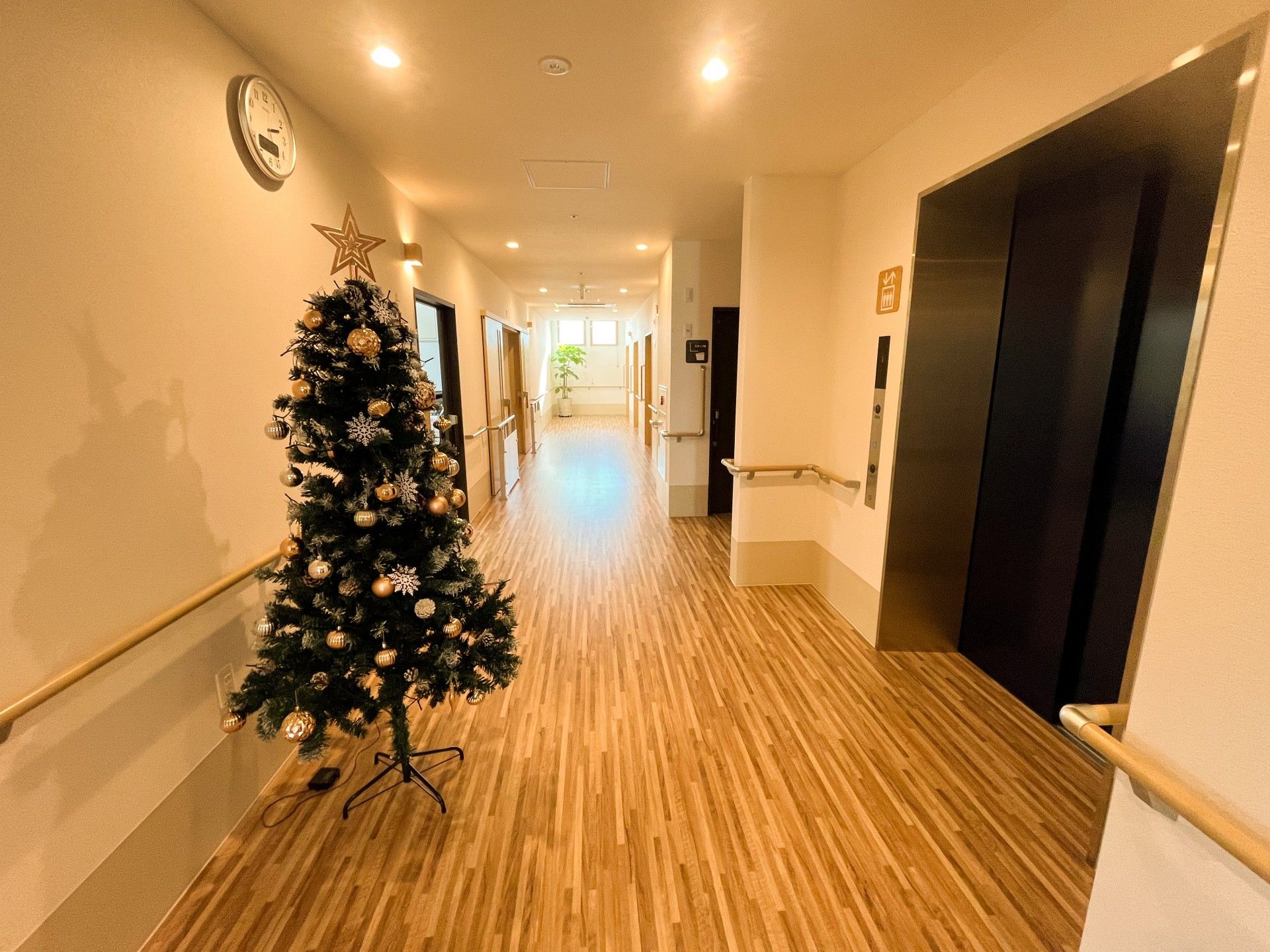 クリスマスツリーのある廊下