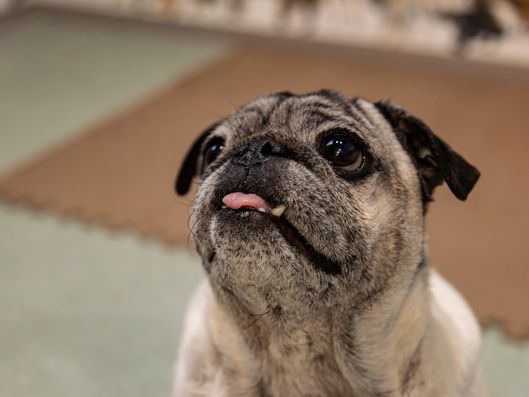 スタッフイメージ