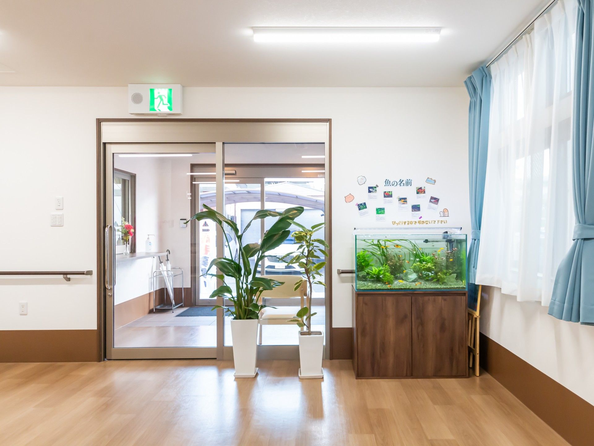 観葉植物と水槽のある廊下