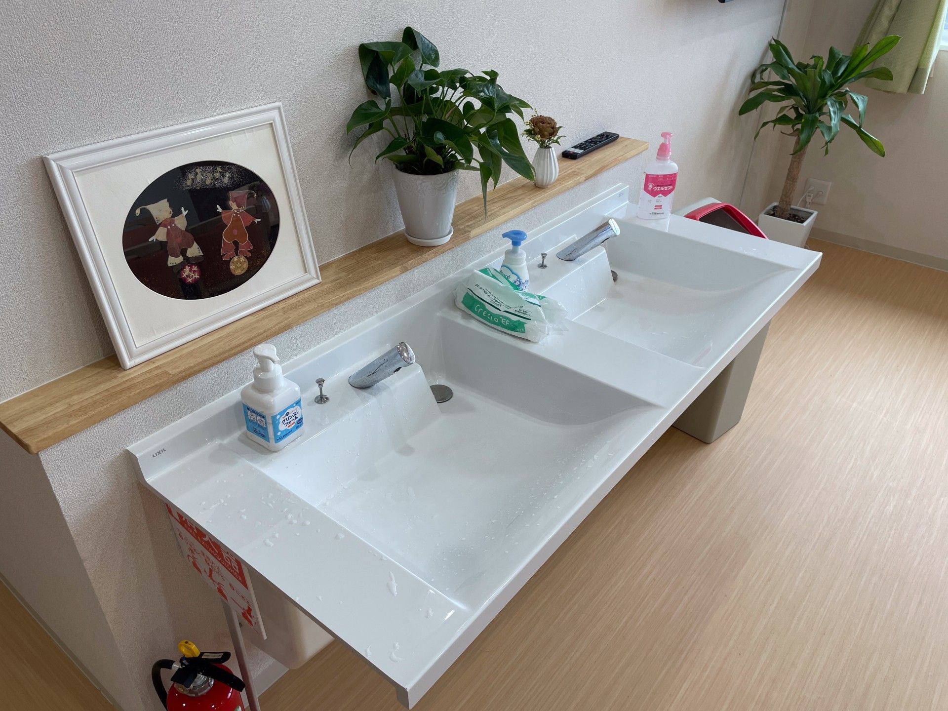 手洗い場と植物