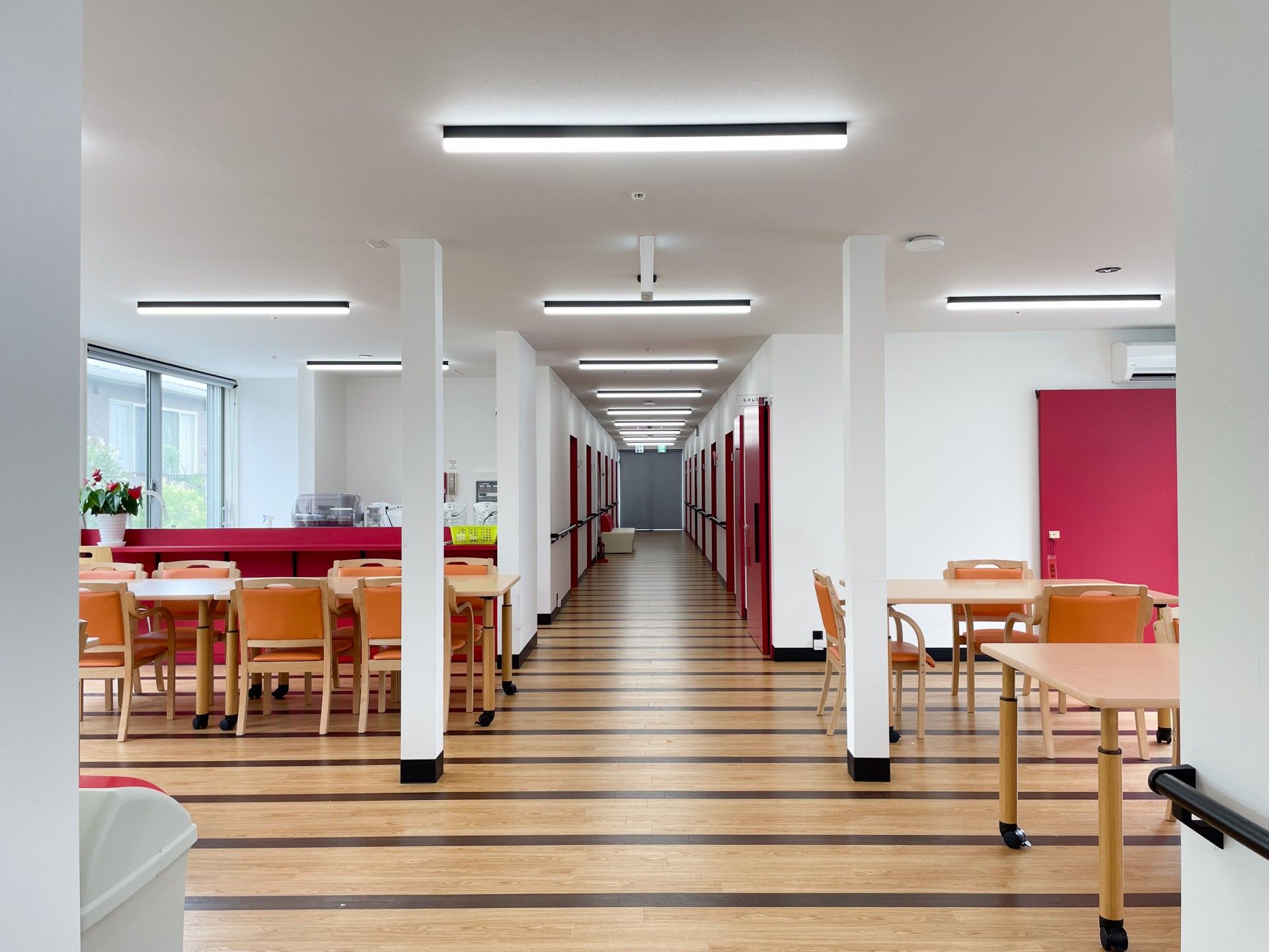 明るい廊下と食事スペース