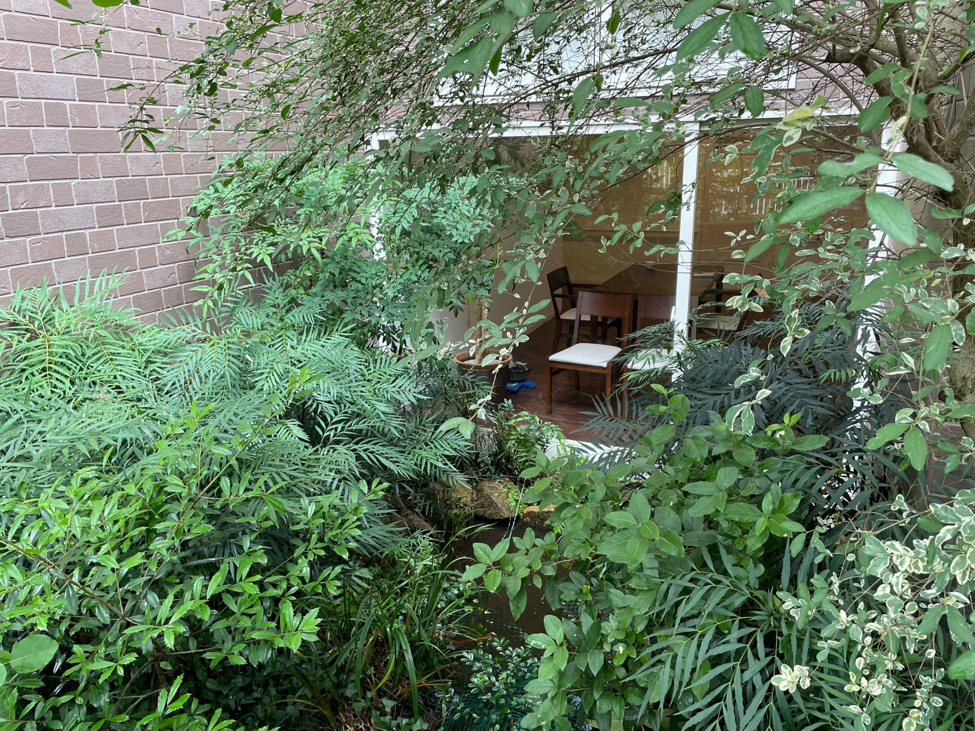 緑に囲まれた窓辺の椅子