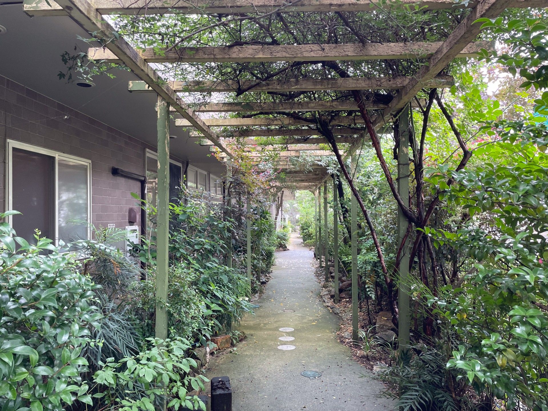 緑に囲まれた小道